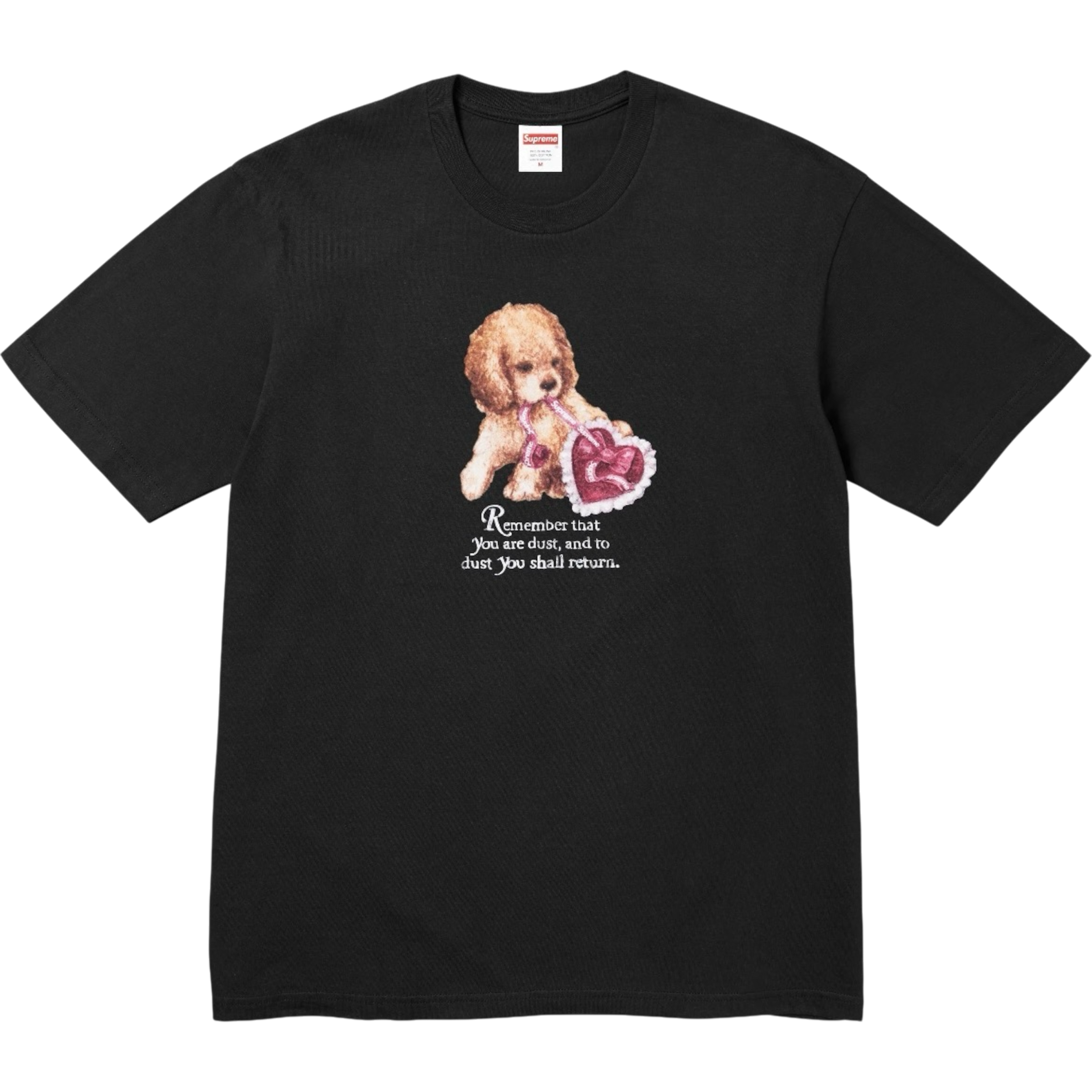 SUPREME DUS TEE AFW25