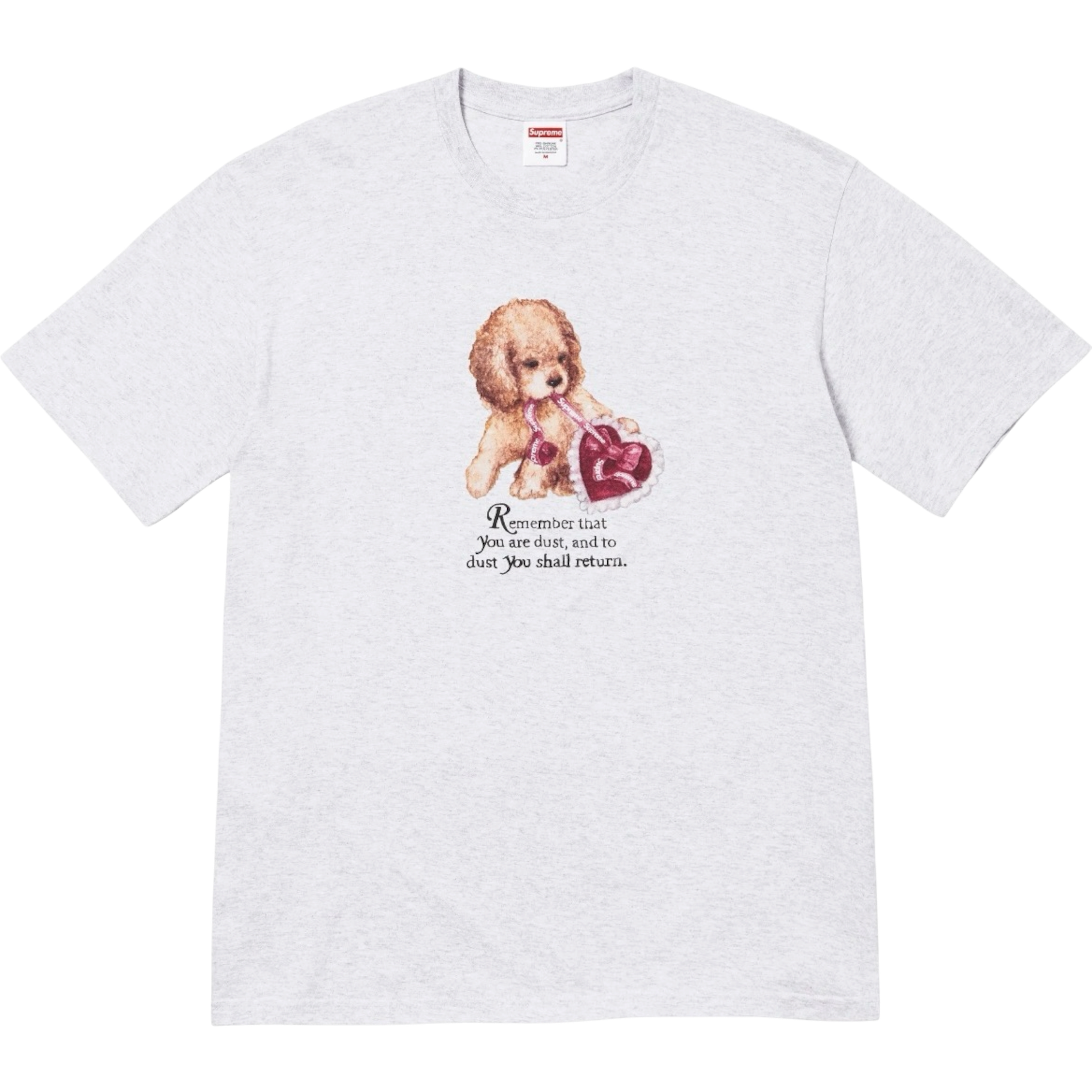 SUPREME DUS TEE AFW25
